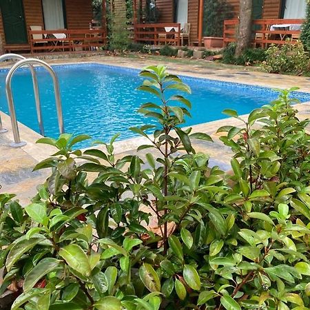 Tatil Keyfi Motel Коджаэли Экстерьер фото